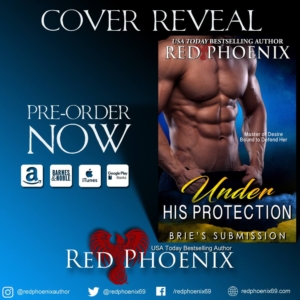 Cover reveal protection 2